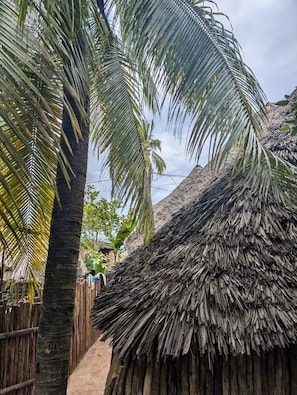 Property grounds - Traditional Charming 4-bedroom house in Zanzibar with WiFi and garden (Zanzibar)