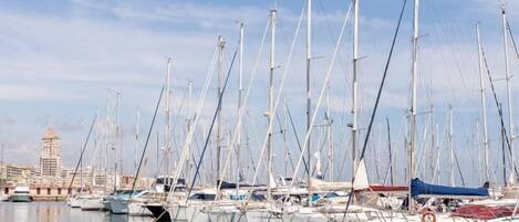 Marina