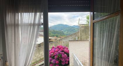 Apartment inside a house in a village in the center of Asturias.