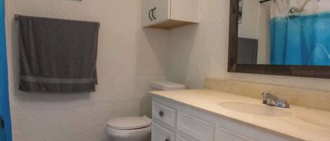 A bathroom with a toilet, a sink, a mirror, and a towel hanging on the wall.