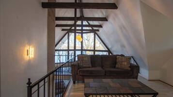 TV, fireplace, video games, books