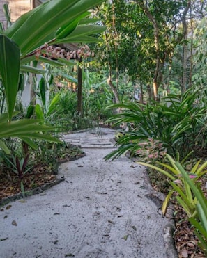 Exterior - Vila Coco Dendê (Maraú)