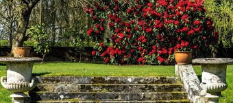 รัดบี ฮอลล์ โรงแรม