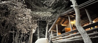 Woods etna chalet