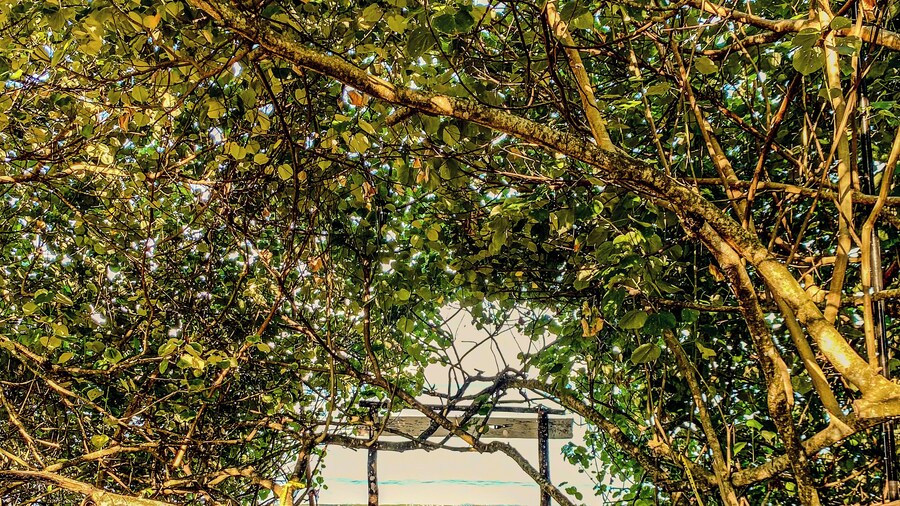 playa pixvae sunset house