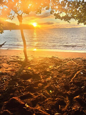 På stranden og sandvolleyball
