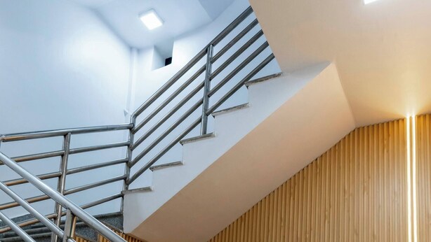 Ein modernes Interieur mit Treppe, einer Holzvertäfelung und einer großen Topfpflanze.
