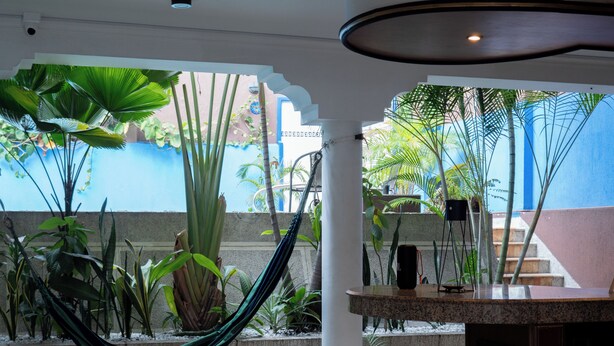 Une pièce avec un hamac, des plantes en pot et une vue sur un immeuble bleu à l’extérieur.