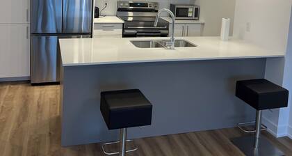 Welcome to my stylish, Cozy and warm 1-bedroom condo!