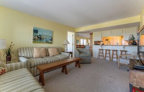 Televisor, reproductor de DVD i llibres 