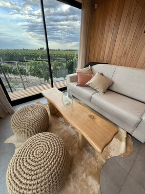 Living area - Finca Boutique Un Buen Año (Eugenio Bustos)