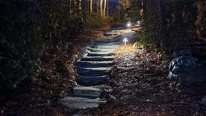 Un sendero de piedra en un área boscosa, con luces colgantes y un único poste de luz.