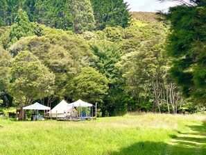 Jardines del alojamiento