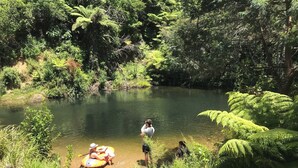 Um cenário natural com rio, vegetação densa e pessoas praticando atividades aquáticas.
