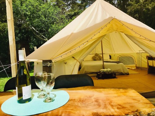 Coro Camping 
Glamping in nature. Totally private with own bush clad river pool
