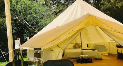 Coro Camping
Glamping in nature. Totally private with own bush clad river pool
