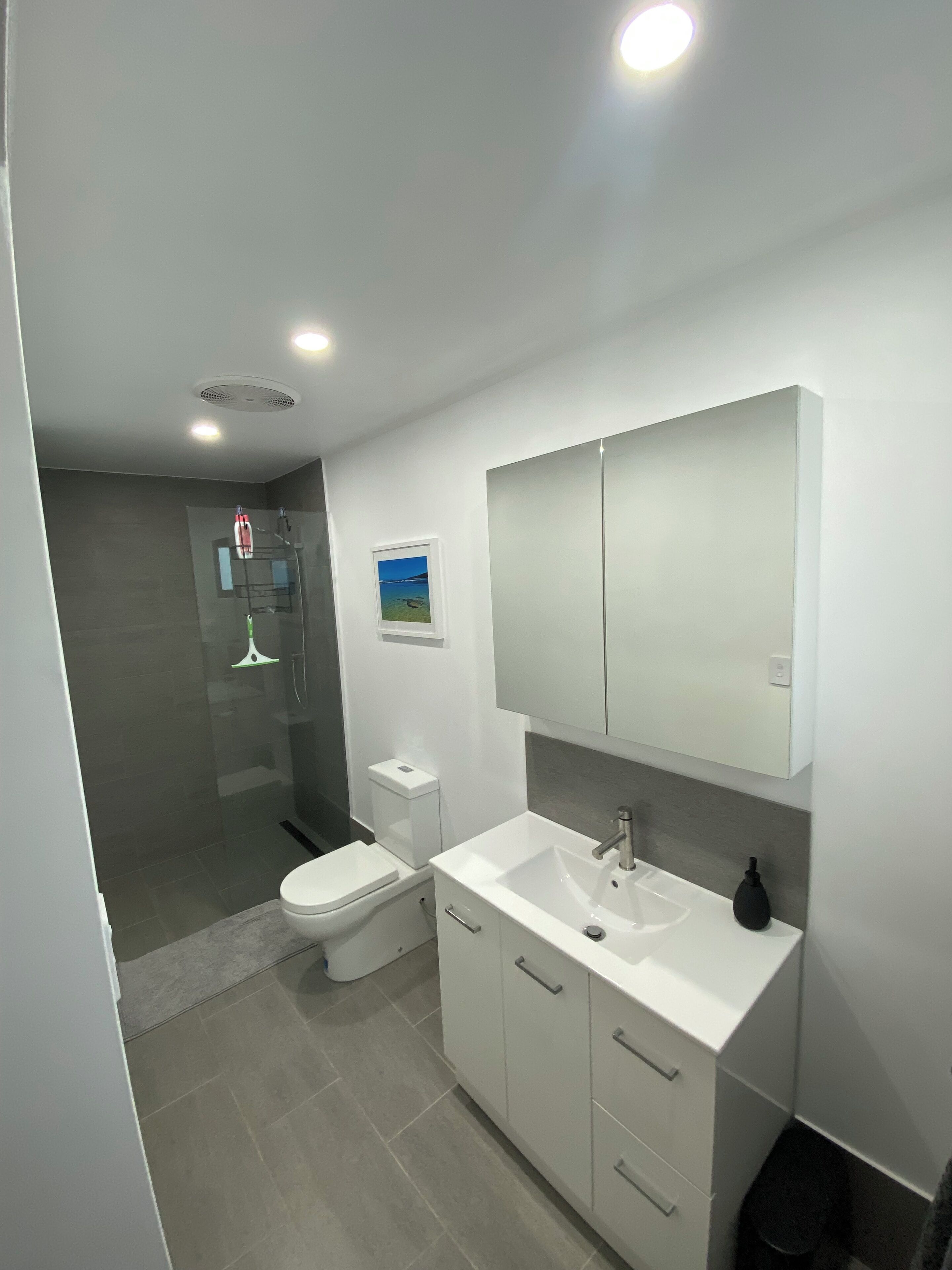 Hair dryer, towels, soap, shampoo