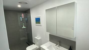 Hair dryer, towels, soap, shampoo