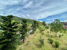 Un paisaje verde exuberante con diversos árboles y un cielo despejado.