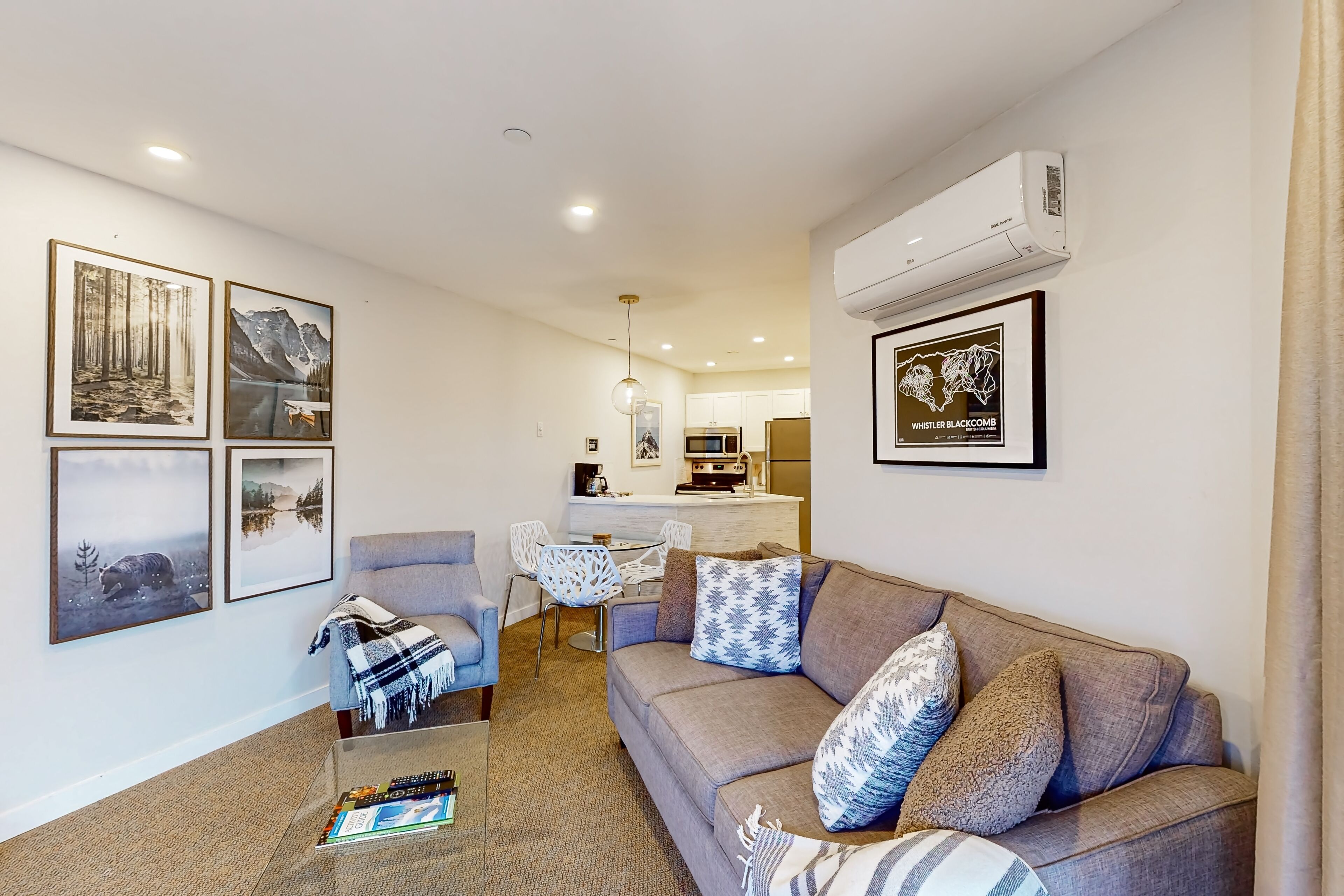 Télévision, cheminée, jeux vidéo