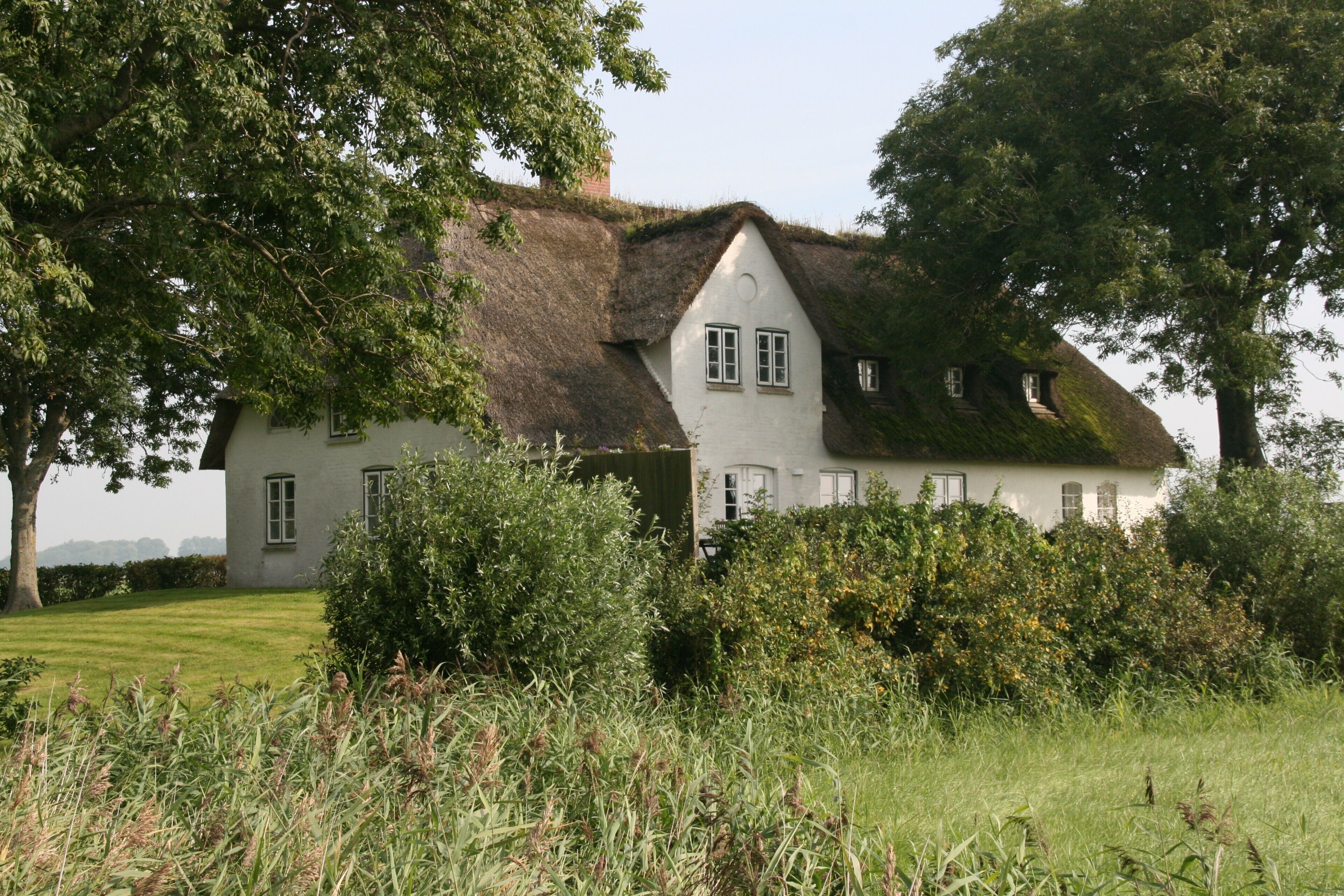 Esterni