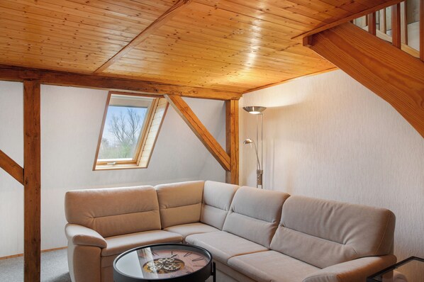 TV, stereo - Holiday Home 'Habicht' with Private Terrace, Private Garden and Wi-Fi (Alt Meteln)