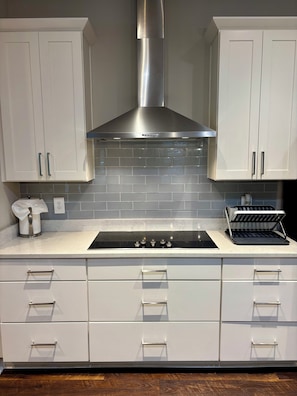 Fridge, microwave, oven, stovetop - Shaded heated Luxury salt-water pool & hot tub (Tampa)