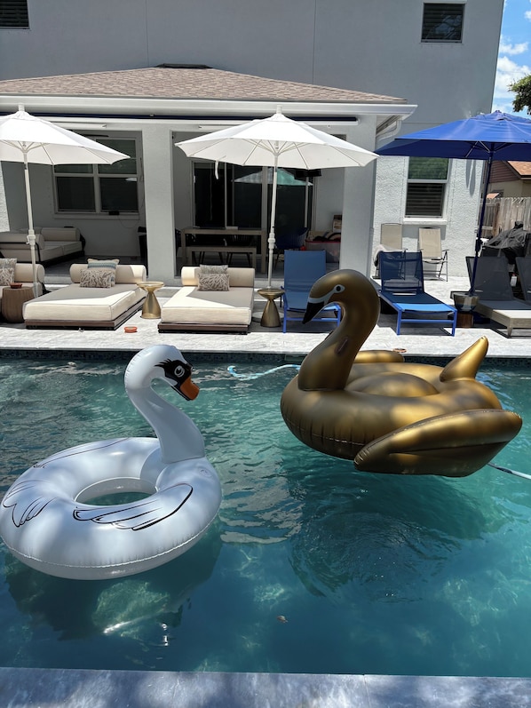 Outdoor pool, a heated pool - Shaded heated Luxury salt-water pool & hot tub (Tampa)