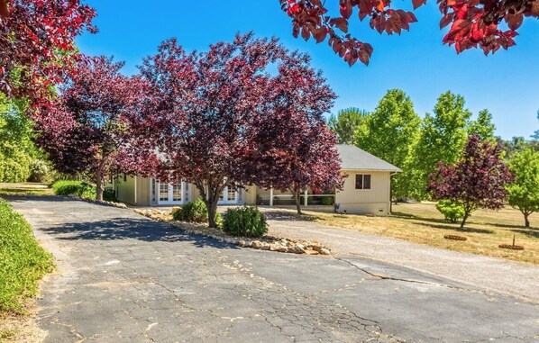 Une allée menant à une maison, entourée d’arbres aux feuilles rouges.