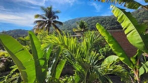 A lush garden with various tropical plants and a palm tree, set against a backdrop of a mountain and a clear sky.