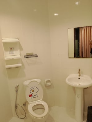 Shower, hair dryer, bidet, towels