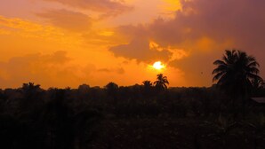 A sunset over a landscape with palm trees and a clear sky. - Leon Lakeside Hotel (Sella Kataragama)