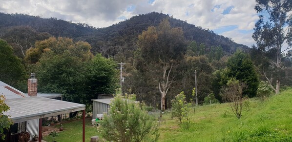A rural house with a metal roof, a brick chimney, and a small shed. - Hazy Hill Estate, a renovated Miners Cottage, surrounded by nature (Flowerdale)
