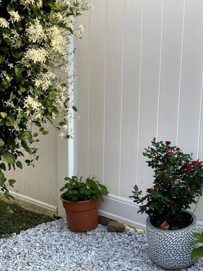 Un espace jardin agrémenté d’une clôture blanche, d’un chemin de gravier et de deux plantes en pot, l’une aux fleurs blanches et l’autre aux fleurs rouges.