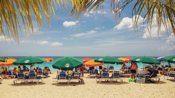 A beach with rows of sun loungers under green umbrellas, palm trees overhead, and the ocean in the background. - Paradise Perch - Royal Retreats at Maho Beach (Lowlands)