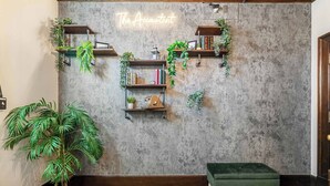 A room with a concrete wall, wooden floor, green bench, and shelves with plants and books. - The Accountant | Sleeps 2 Guests | DT Drumheller | (Drumheller)