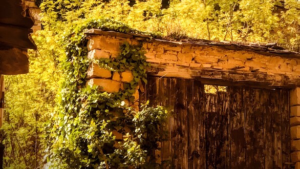 Un edifici històric amb façana de pedra, una porta de fusta i un cel blau clar al fons.
