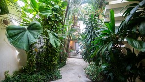 A narrow stone pathway flanked by lush tropical plants, leading to a seating area with a view of the sky. - 9 Bedroom Luxury Villa in Old City (Cartagena)