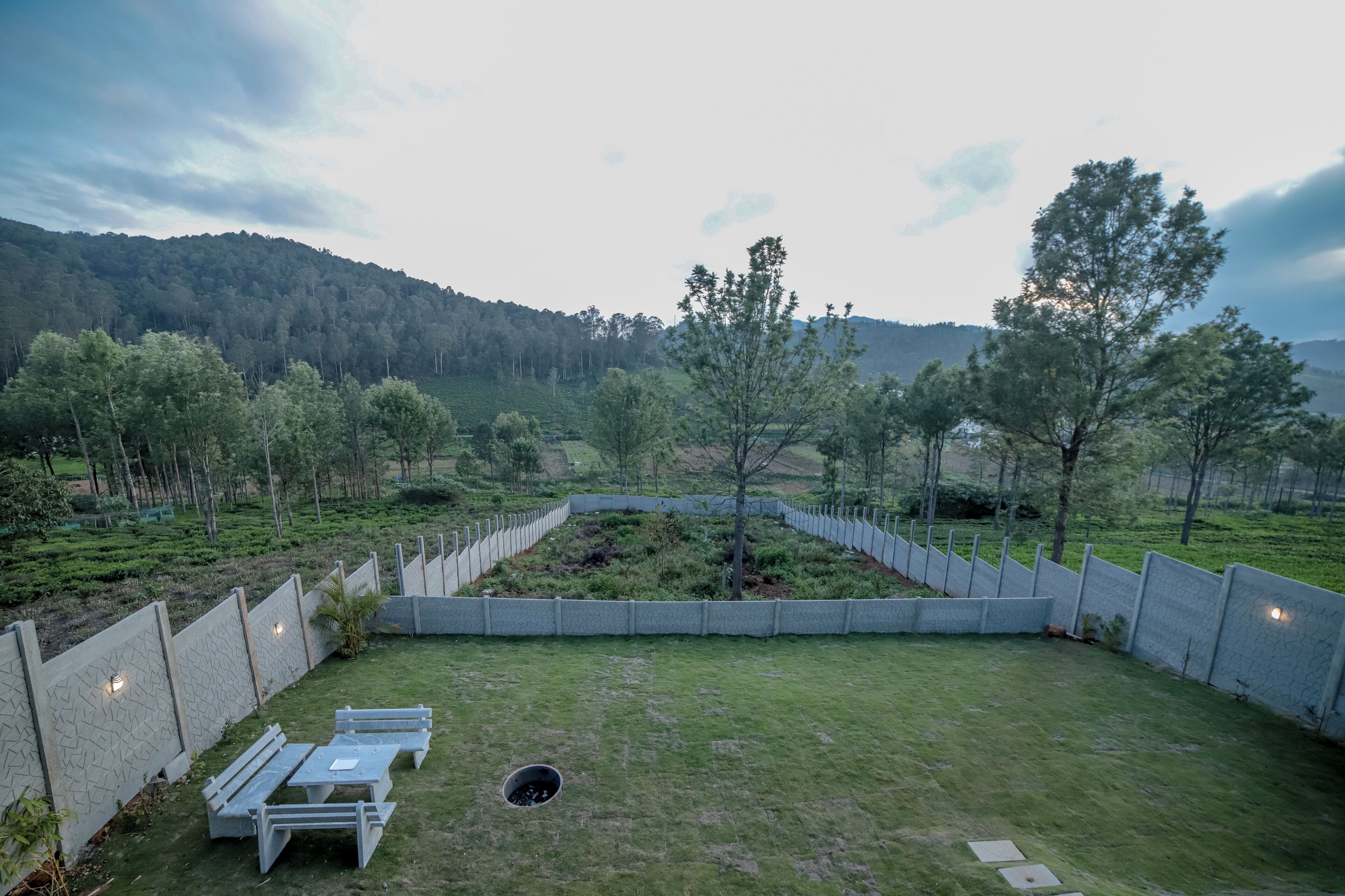 A grassy outdoor area with a stone wall, benches, and a small tree.