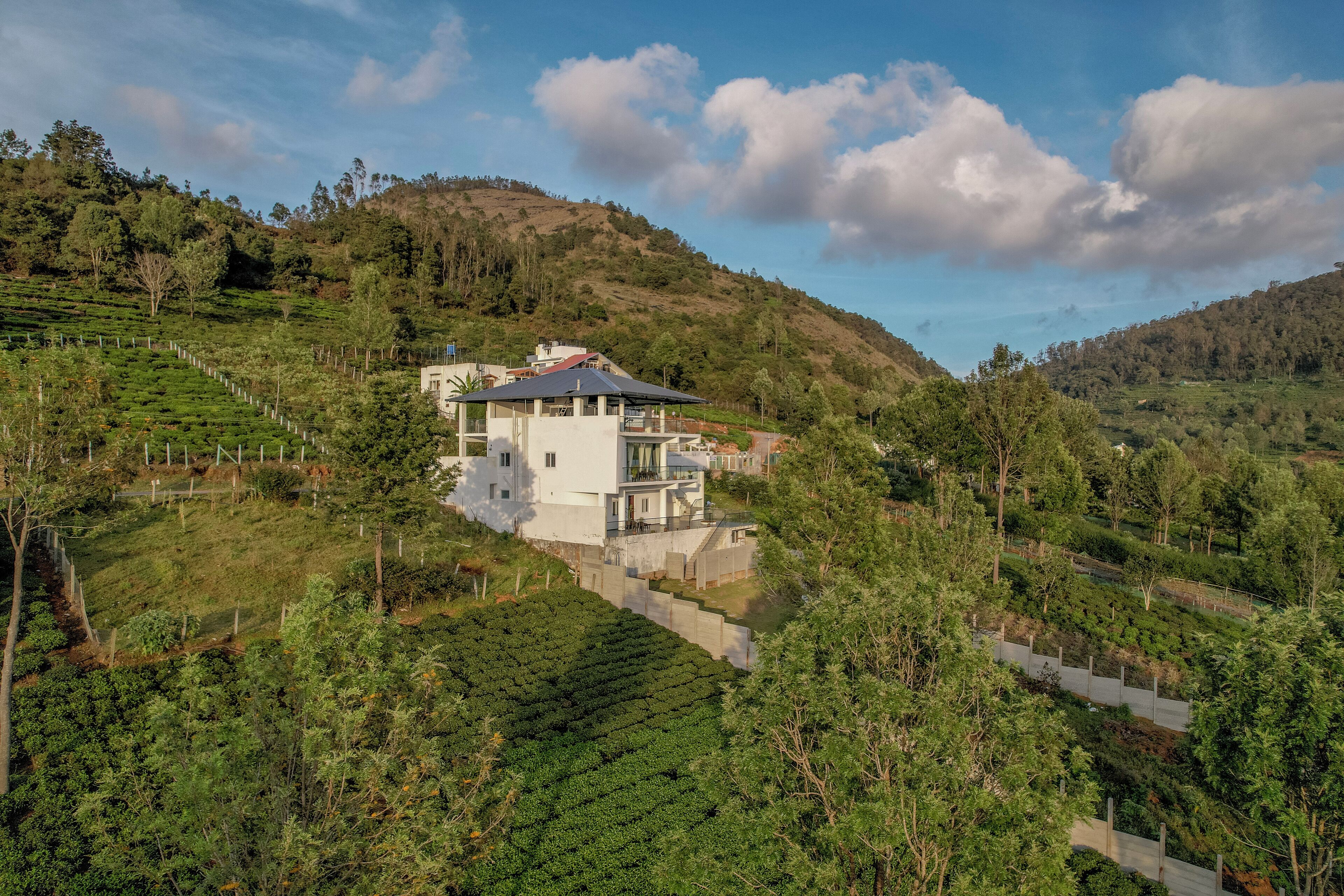 A modern house with a flat roof, surrounded by lush green tea plantations and hills.