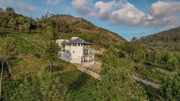 A modern house with a flat roof, surrounded by lush green tea plantations and hills.