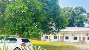 Un coche blanco estacionado frente a un edificio, con un árbol grande al fondo.
