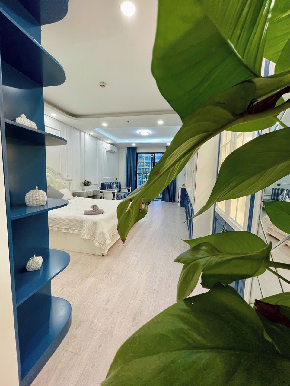 Quarto moderno com uma estante curva azul, uma cama com roupa de cama branca e plantas verdes grandes.