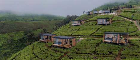 Una serie de cabañas modernas con paredes de vidrio construidas sobre plantaciones de té en terrazas, ofreciendo vistas panorámicas del paisaje exuberante.