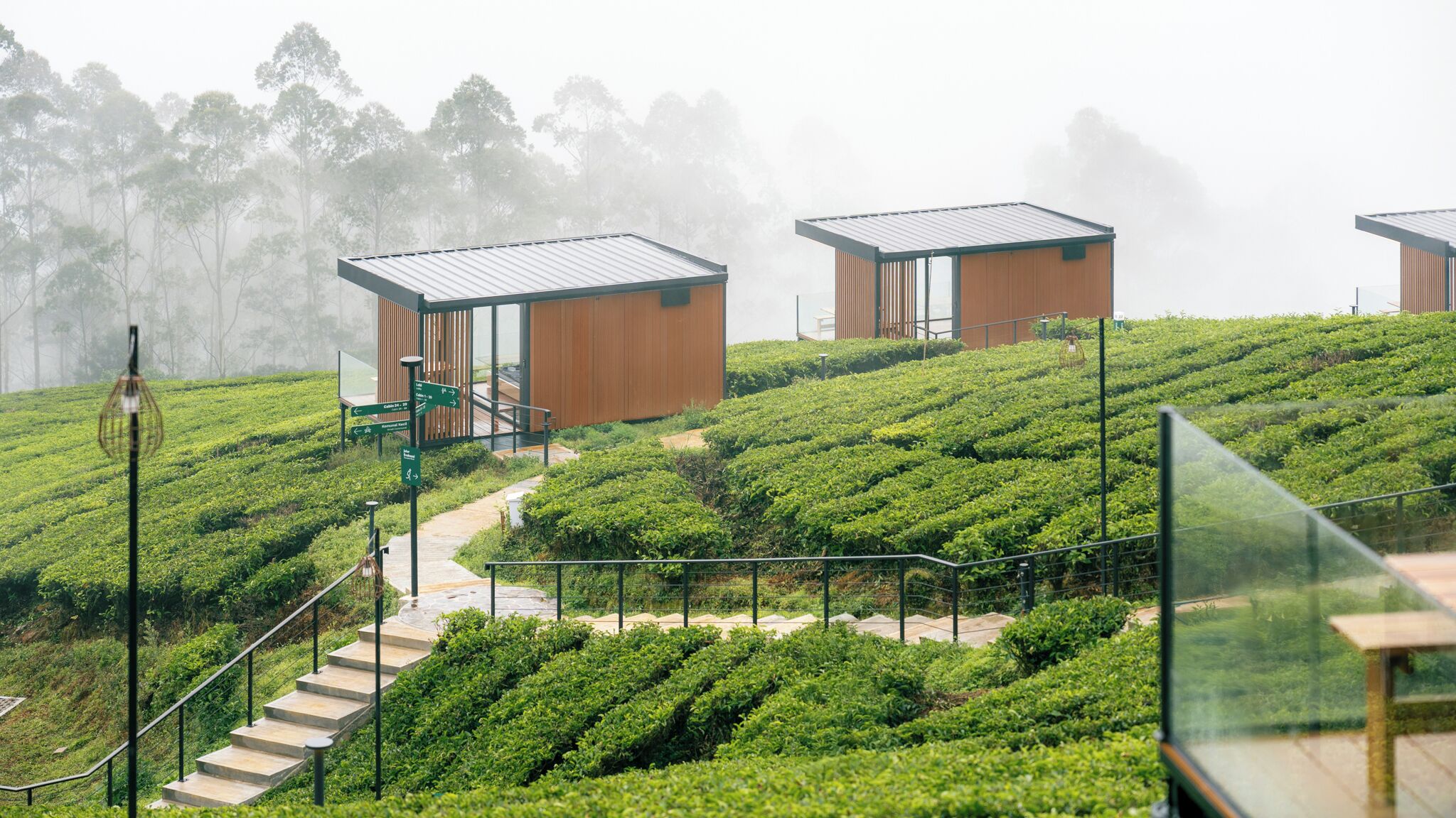 Une plantation de thé moderne, avec des champs en terrasses et des structures en bois aux lignes épurées.