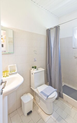 A bathroom with a toilet, sink, and shower area.
