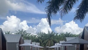 A wooden deck leading to a row of overwater bungalows with umbrellas, surrounded by palm trees and a clear sky. - Nusantara Cabin and Coffee (Sepaku)