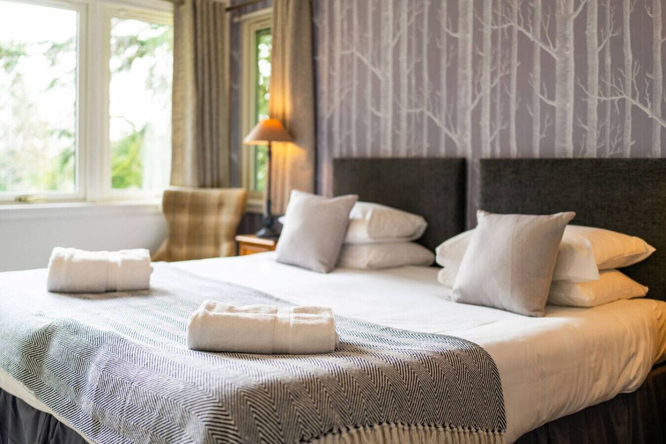 Desk, iron/ironing board, travel crib, free WiFi