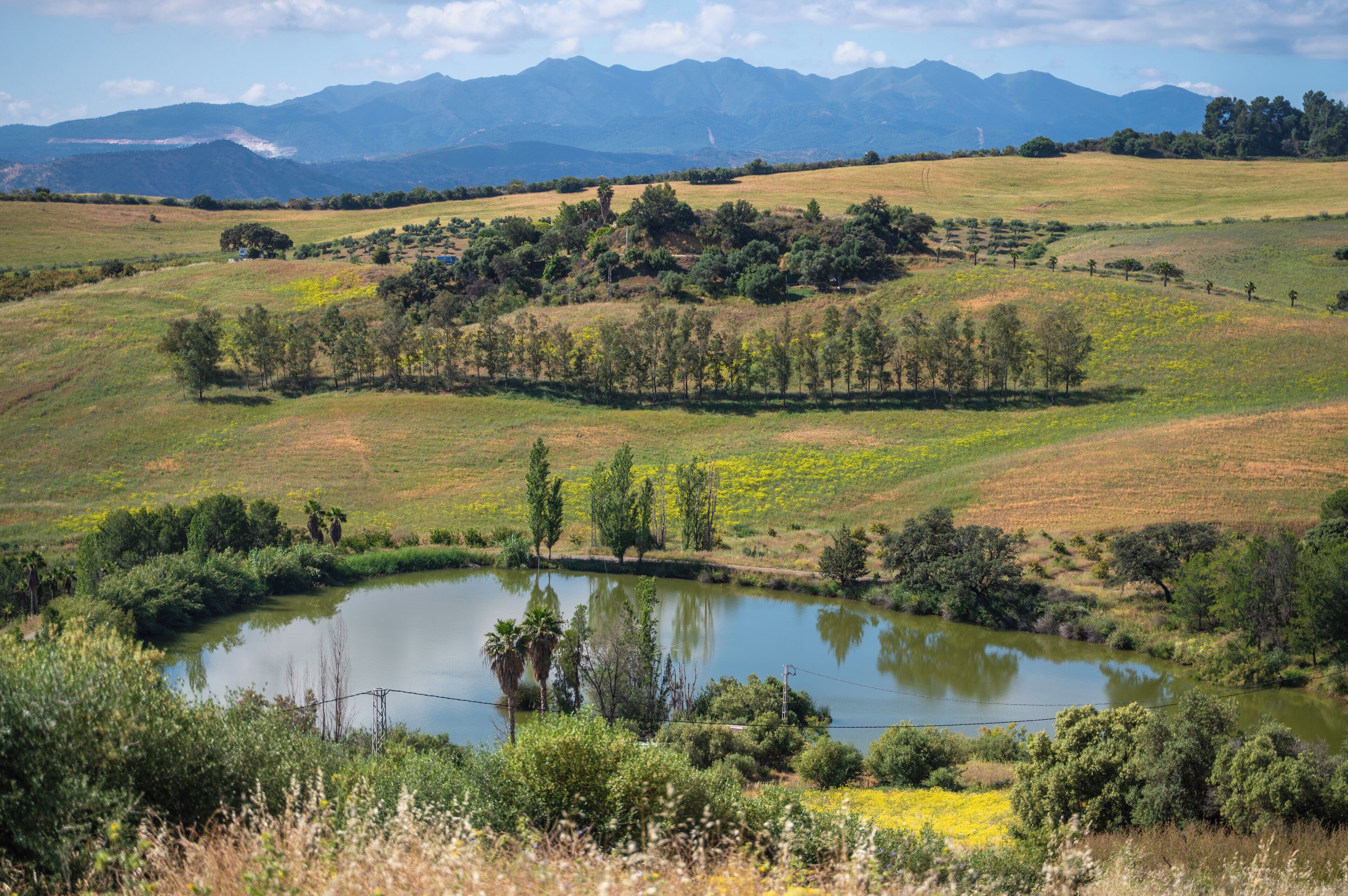 Un paysage rural avec un étang, des arbres et des montagnes en arrière-plan.