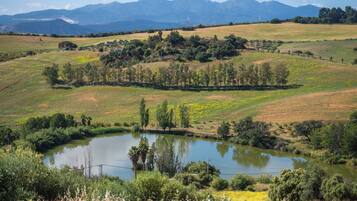 Paisagem rural com lago, árvores e montanhas ao fundo.
